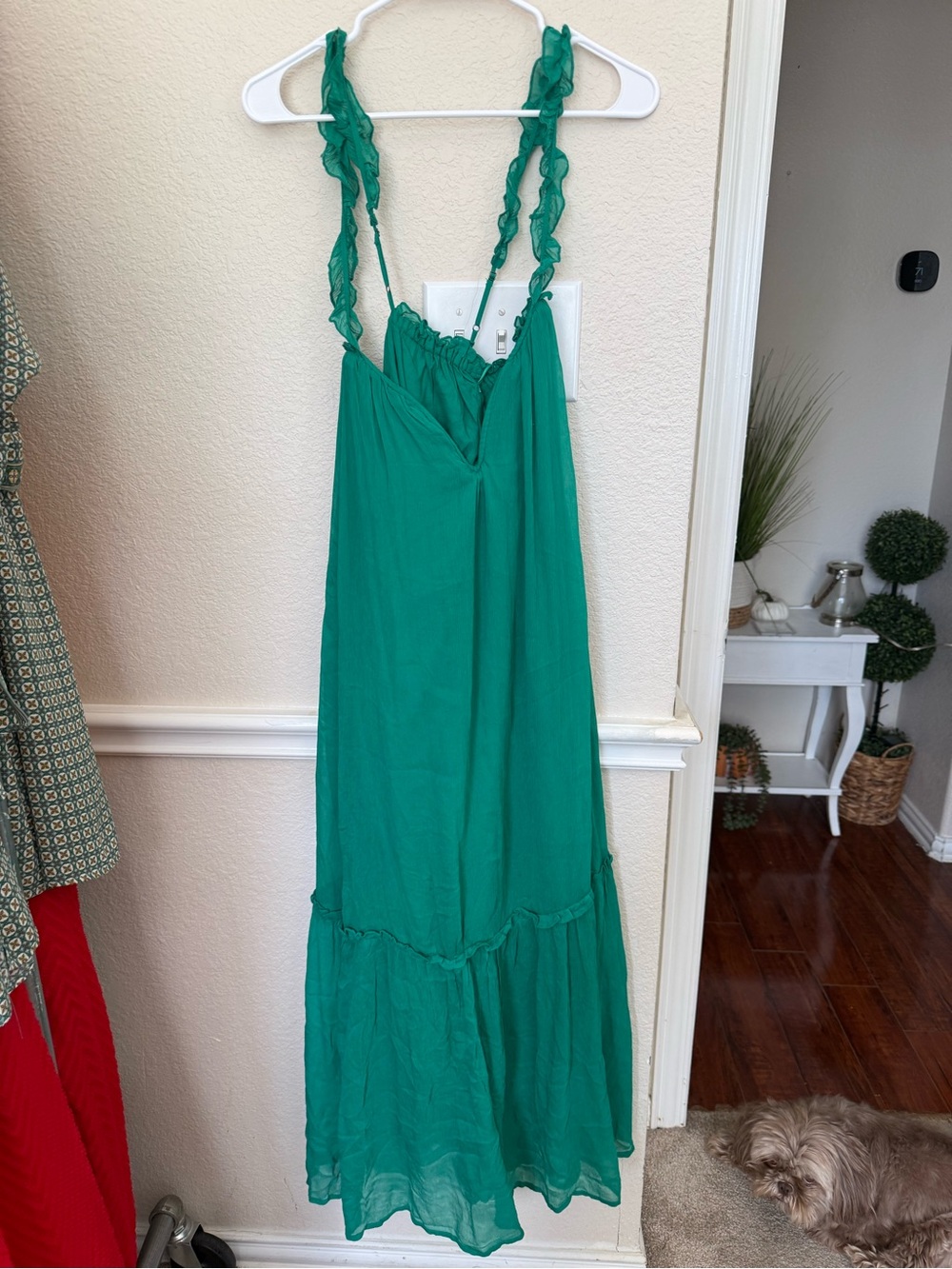 XXS Anthropologie Sleeveless Chiffon
Midi Dress Maxi NWT - Picture 8 of 8